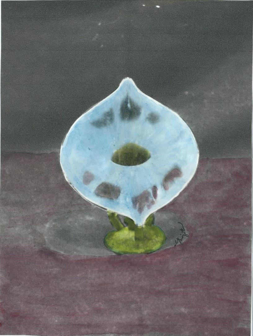 Suzanne's Vase  # 189