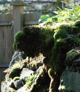 Fountain of Moss 1 #126